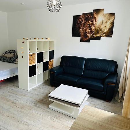 Tres Agreable Studio A Villeurbanne Eksteriør billede